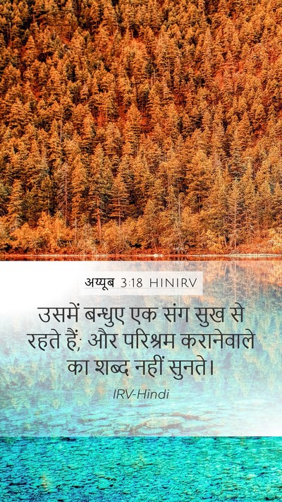 अय्यूब 3:18 HINIRV Bible Verse Image
