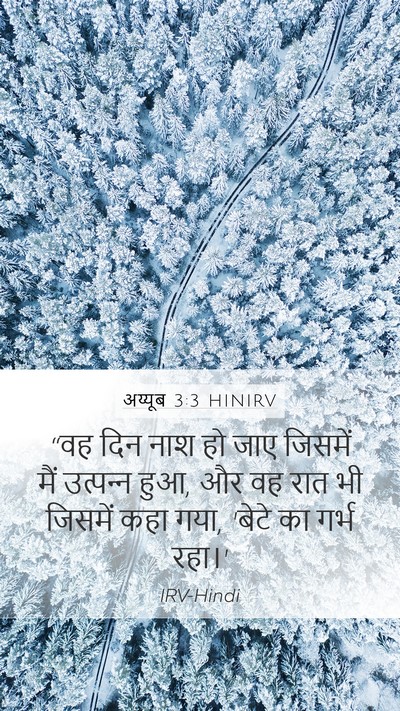 अय्यूब 3:3 HINIRV Bible Verse Image