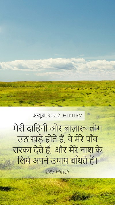 अय्यूब 30:12 HINIRV Bible Verse Image