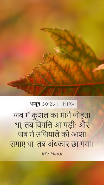 अय्यूब 30:26 HINIRV Bible Verse Image
