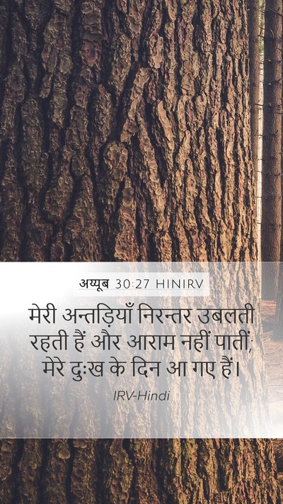 अय्यूब 30:27 HINIRV Mobile Phone Wallpaper - मेरी अन्तड़ियाँ - Mobile Bible Verse Wallpaper