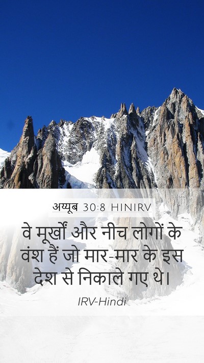 अय्यूब 30:8 HINIRV Bible Verse Image