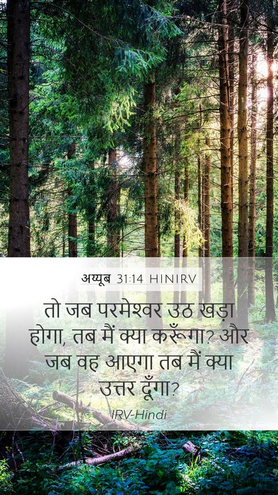 अय्यूब 31:14 HINIRV Bible Verse Image