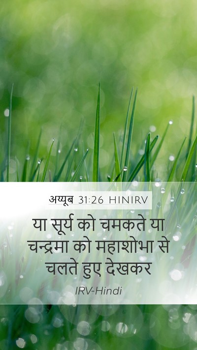 अय्यूब 31:26 HINIRV Bible Verse Image