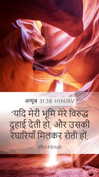 अय्यूब 31:38 HINIRV Bible Verse Image