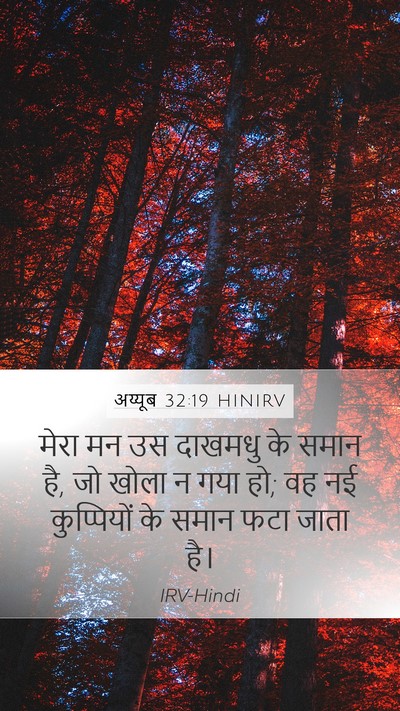 अय्यूब 32:19 HINIRV Bible Verse Image