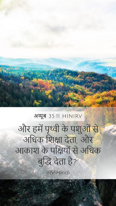 अय्यूब 35:11 HINIRV Bible Verse Image