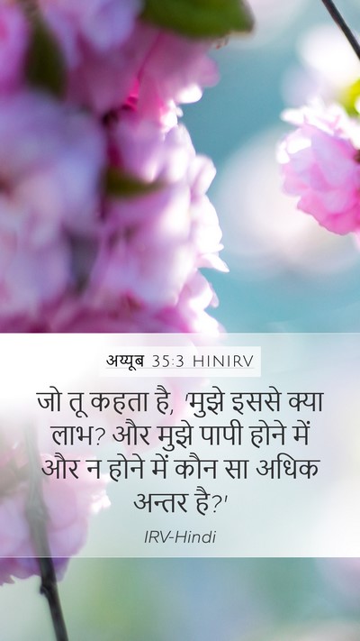 अय्यूब 35:3 HINIRV Bible Verse Image
