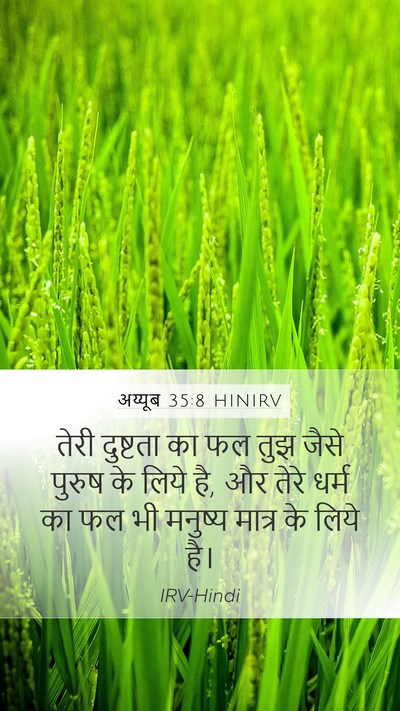 अय्यूब 35:8 HINIRV Mobile Phone Wallpaper - तेरी दुष्टता का फल - Mobile Bible Verse Wallpaper
