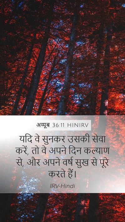 अय्यूब 36:11 HINIRV Bible Verse Image