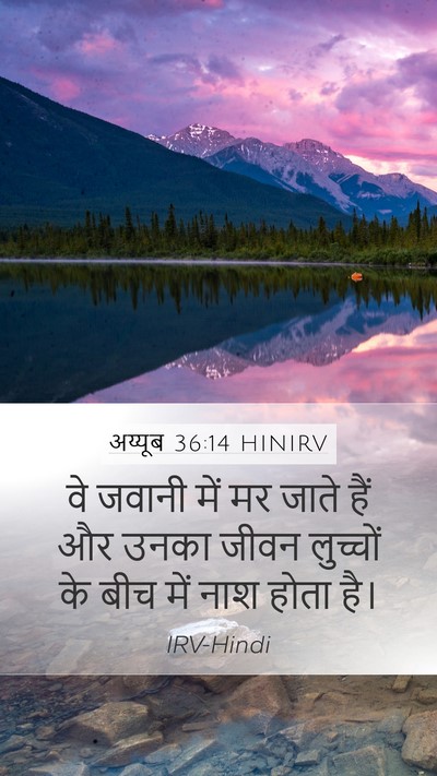 अय्यूब 36:14 HINIRV Bible Verse Image