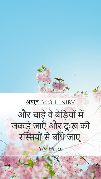 अय्यूब 36:8 HINIRV Bible Verse Image