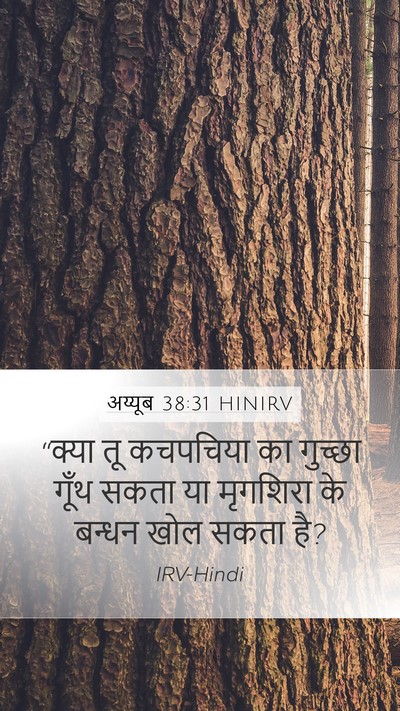 अय्यूब 38:31 HINIRV Mobile Phone Wallpaper - “क्या तू कचपचिया - Mobile Bible Verse Wallpaper
