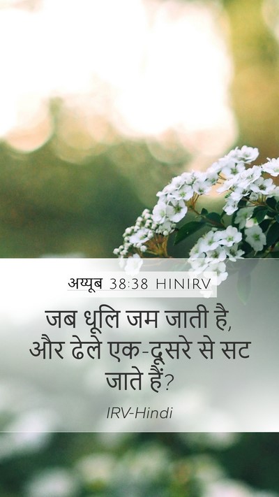अय्यूब 38:38 HINIRV Mobile Phone Wallpaper - जब धूलि जम जाती है, - Mobile Bible Verse Wallpaper