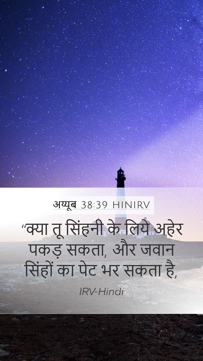 अय्यूब 38:39 HINIRV Bible Verse Image