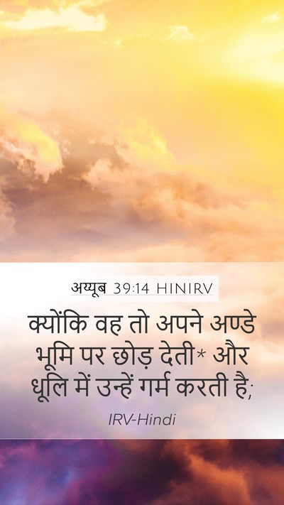 अय्यूब 39:14 HINIRV Bible Verse Image