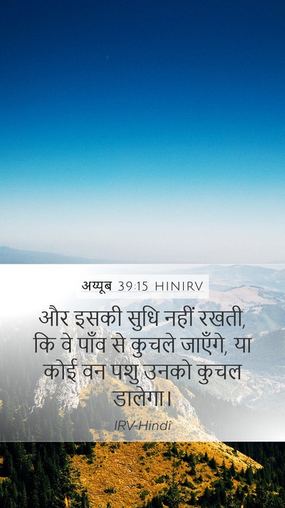 अय्यूब 39:15 HINIRV Mobile Phone Wallpaper - और इसकी सुधि नहीं - Mobile Bible Verse Wallpaper