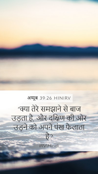 अय्यूब 39:26 HINIRV Bible Verse Image