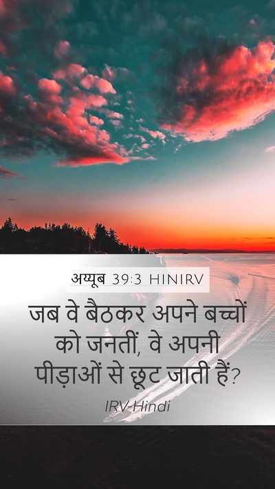 अय्यूब 39:3 HINIRV Mobile Phone Wallpaper - जब वे बैठकर अपने - Mobile Bible Verse Wallpaper