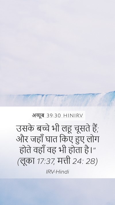 अय्यूब 39:30 HINIRV Bible Verse Image