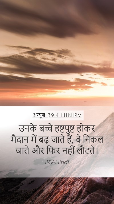 अय्यूब 39:4 HINIRV Bible Verse Image