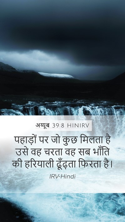 अय्यूब 39:8 HINIRV Bible Verse Image