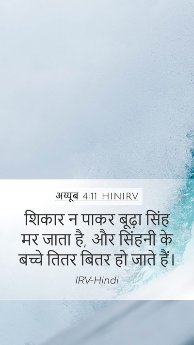 अय्यूब 4:11 HINIRV Mobile Phone Wallpaper - शिकार न पाकर बूढ़ा - Mobile Bible Verse Wallpaper