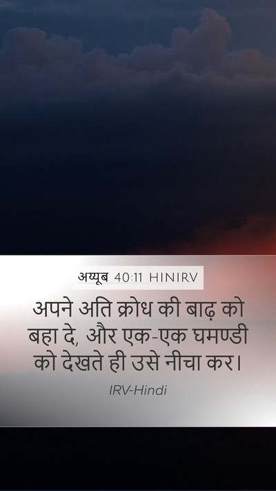 अय्यूब 40:11 HINIRV Bible Verse Image
