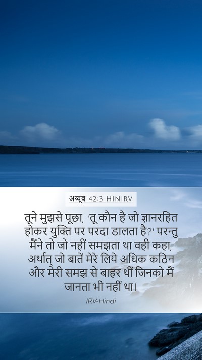 अय्यूब 42:3 HINIRV Bible Verse Image