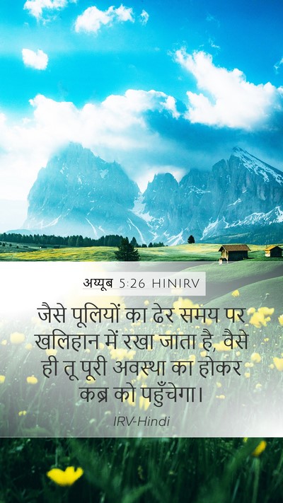 अय्यूब 5:26 HINIRV Bible Verse Image