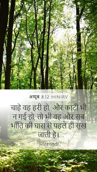 अय्यूब 8:12 HINIRV Bible Verse Image