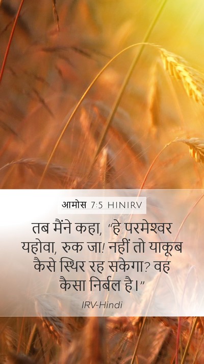 आमोस 7:5 HINIRV Bible Verse Image