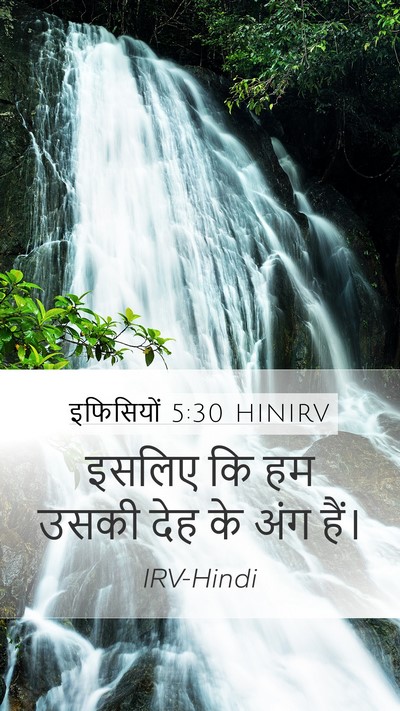 इफिसियों 5:30 HINIRV Bible Verse Image