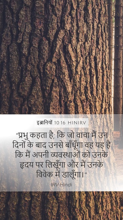 इब्रानियों 10:16 HINIRV Bible Verse Image