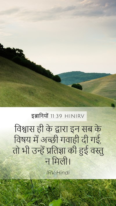 इब्रानियों 11:39 HINIRV Bible Verse Image