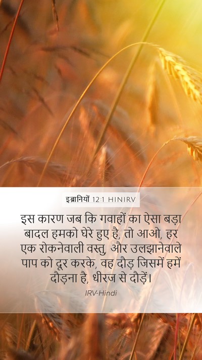 इब्रानियों 12:1 HINIRV Bible Verse Image