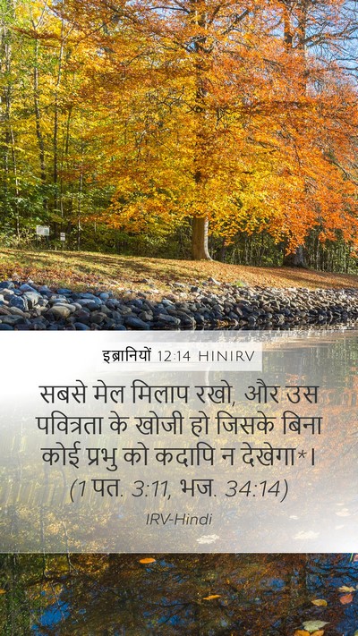 इब्रानियों 12:14 HINIRV Bible Verse Image