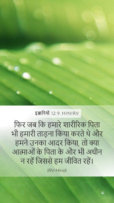 इब्रानियों 12:9 HINIRV Bible Verse Image