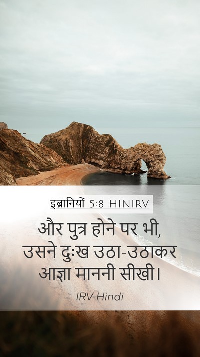 इब्रानियों 5:8 HINIRV Bible Verse Image