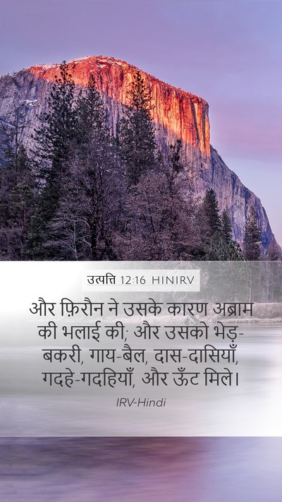 उत्पत्ति 12:16 HINIRV Bible Verse Image