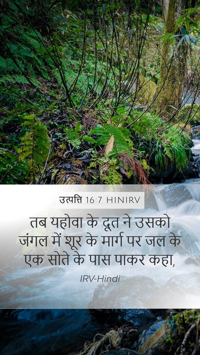 उत्पत्ति 16:7 HINIRV Bible Verse Image