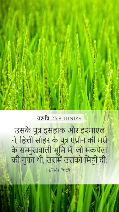उत्पत्ति 25:9 HINIRV Bible Verse Image