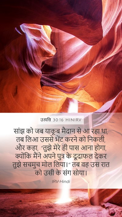 उत्पत्ति 30:16 HINIRV Mobile Phone Wallpaper - सांझ को जब याकूब - Mobile Bible Verse Wallpaper