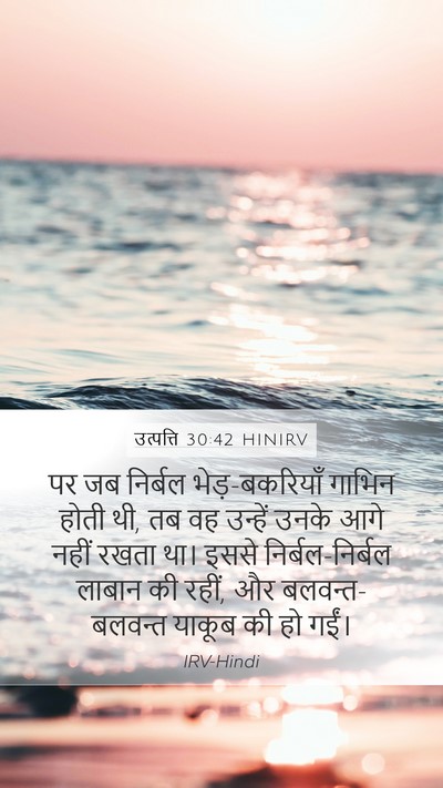 उत्पत्ति 30:42 HINIRV Mobile Phone Wallpaper - पर जब निर्बल - Mobile Bible Verse Wallpaper