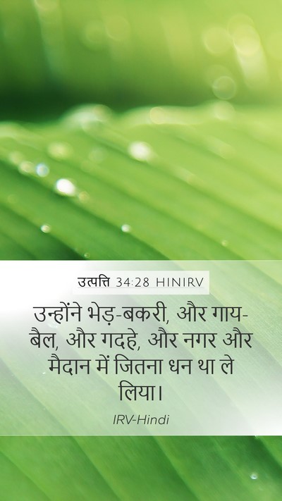 उत्पत्ति 34:28 HINIRV Bible Verse Image
