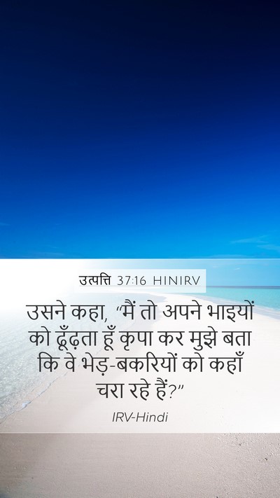 उत्पत्ति 37:16 HINIRV Mobile Phone Wallpaper - उसने कहा, “मैं तो - Mobile Bible Verse Wallpaper