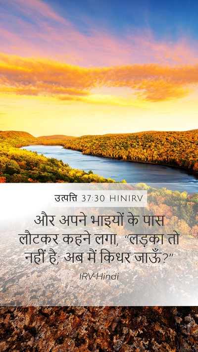 उत्पत्ति 37:30 HINIRV Bible Verse Image