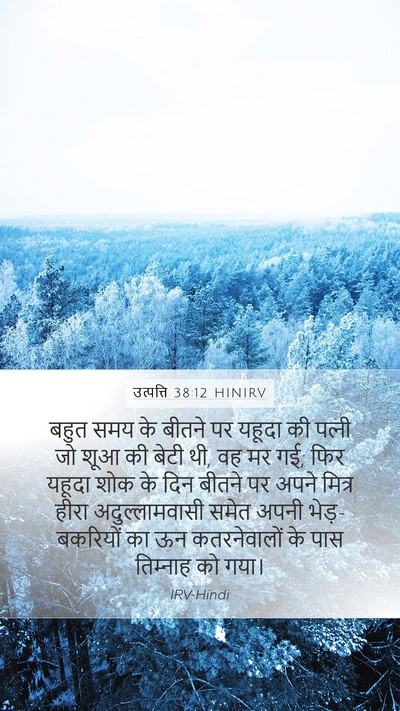 उत्पत्ति 38:12 HINIRV Bible Verse Image