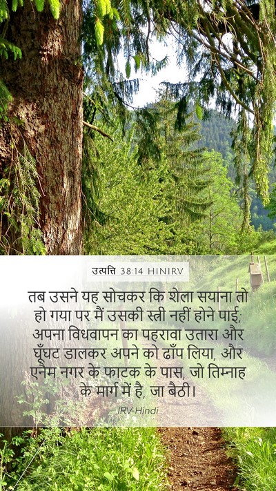 उत्पत्ति 38:14 HINIRV Bible Verse Image