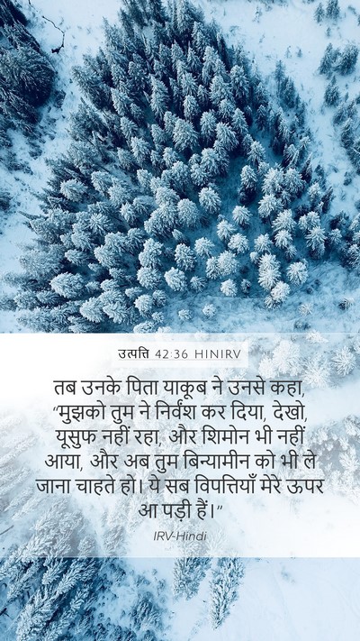 उत्पत्ति 42:36 HINIRV Bible Verse Image